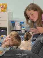Beethoven - Pet only, a male Shih Tzu for sale in Morristown, TN – 3 of 10