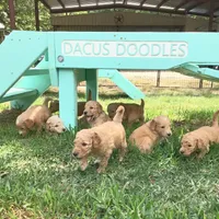 processed/c5810cca-9f9b-49a0-8b8f-4d6f3593f727/facility/152e580c-bd13-41ad-a113-541e39192c45