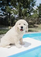 processed/c584cfa7-ffb5-4f93-b867-1d92ec6c6a74/facility/23a75fd7-039a-456d-b838-2cc9cd63e760