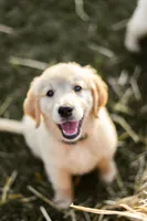 processed/c584cfa7-ffb5-4f93-b867-1d92ec6c6a74/facility/4e352e20-0df5-4fad-8a09-b1ed9f45b838