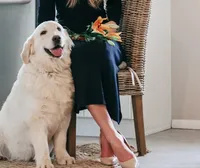 processed/c584cfa7-ffb5-4f93-b867-1d92ec6c6a74/facility/7c6bcf9b-f16a-40c2-8dbf-ef2fa6ca45ce