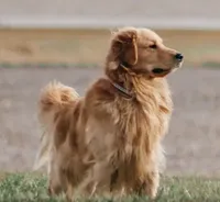 processed/c584cfa7-ffb5-4f93-b867-1d92ec6c6a74/facility/8fd53215-0f71-4265-a15b-b0be4f34e719