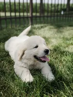 processed/c584cfa7-ffb5-4f93-b867-1d92ec6c6a74/facility/d6a9d619-5a02-4ad6-a006-58226def9416