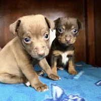 processed/c5894c3e-5828-4518-ad7f-7a7841c79076/facility/05c268ff-300a-4af4-afb4-cab99abad8a8