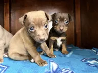 processed/c5894c3e-5828-4518-ad7f-7a7841c79076/facility/05c268ff-300a-4af4-afb4-cab99abad8a8