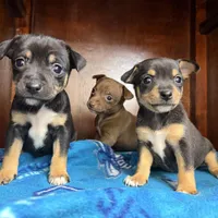 processed/c5894c3e-5828-4518-ad7f-7a7841c79076/facility/12e9d1bf-b9f2-4d1b-9c46-0533fd689ced