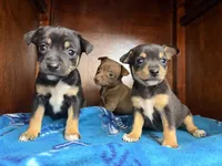 processed/c5894c3e-5828-4518-ad7f-7a7841c79076/facility/12e9d1bf-b9f2-4d1b-9c46-0533fd689ced