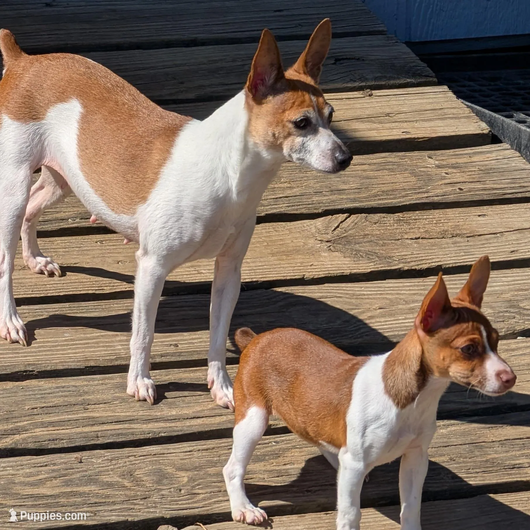 processed/c5894c3e-5828-4518-ad7f-7a7841c79076/facility/1adec6ad-7237-4bbb-abfd-df520b494f9c