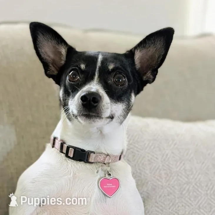 processed/c5894c3e-5828-4518-ad7f-7a7841c79076/facility/78b9cfc5-ec00-4822-a6ef-fbda878d8f5f