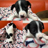 processed/c5894c3e-5828-4518-ad7f-7a7841c79076/facility/79d6745d-0f8c-4353-a822-43243b2f61df