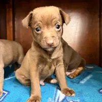 processed/c5894c3e-5828-4518-ad7f-7a7841c79076/facility/bb2abf88-c0a2-4221-978c-80a9d1d5dc94