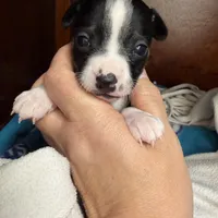 processed/c5894c3e-5828-4518-ad7f-7a7841c79076/facility/bd8eede1-7a92-4b12-94fc-dc1d2408fa0e