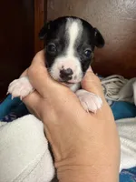 processed/c5894c3e-5828-4518-ad7f-7a7841c79076/facility/bd8eede1-7a92-4b12-94fc-dc1d2408fa0e