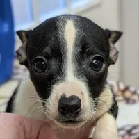 processed/c5894c3e-5828-4518-ad7f-7a7841c79076/facility/e60a4a09-5368-4508-b5bb-003170cafe11