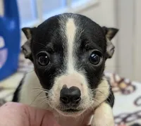 processed/c5894c3e-5828-4518-ad7f-7a7841c79076/facility/e60a4a09-5368-4508-b5bb-003170cafe11