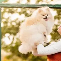 processed/c5897c69-58a9-4253-88c7-c22e33462b33/facility/0a50fd0e-cf24-489c-8e44-f774351f073a