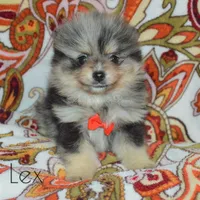 processed/c5897c69-58a9-4253-88c7-c22e33462b33/facility/19225af3-86d5-4f4e-b57a-8c4663f33c0d