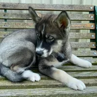 processed/c5897c69-58a9-4253-88c7-c22e33462b33/facility/53e67e0f-477a-4944-9453-8294f23c3993