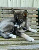 processed/c5897c69-58a9-4253-88c7-c22e33462b33/facility/53e67e0f-477a-4944-9453-8294f23c3993