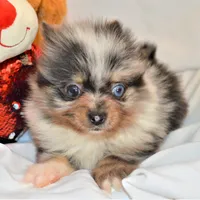 processed/c5897c69-58a9-4253-88c7-c22e33462b33/facility/5ccf84c0-f85b-43d9-979e-7bc6561b7e22