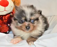 processed/c5897c69-58a9-4253-88c7-c22e33462b33/facility/5ccf84c0-f85b-43d9-979e-7bc6561b7e22