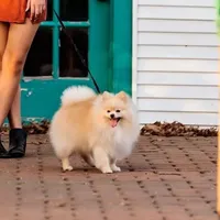 processed/c5897c69-58a9-4253-88c7-c22e33462b33/facility/c25101c7-19bc-47d2-b446-0e556f4d6273