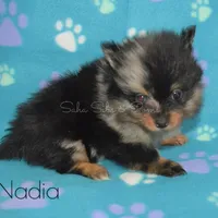 processed/c5897c69-58a9-4253-88c7-c22e33462b33/facility/f2c7551c-0dc1-4ef6-9581-bafb6fec1273