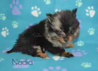 processed/c5897c69-58a9-4253-88c7-c22e33462b33/facility/f2c7551c-0dc1-4ef6-9581-bafb6fec1273