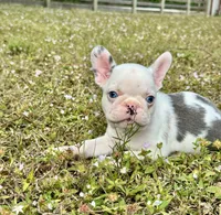 processed/c58aa9f9-a927-491b-98b0-5baadf3f99eb/listing/e5e24ee9-0b7e-4a1c-bb7a-bbf98bc6bc86/5bff178f-607d-41ab-94b5-de2f1a443957