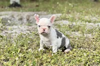 processed/c58aa9f9-a927-491b-98b0-5baadf3f99eb/listing/e5e24ee9-0b7e-4a1c-bb7a-bbf98bc6bc86/c12bbc18-f734-4859-a6b9-e39738c55608