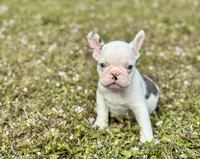 processed/c58aa9f9-a927-491b-98b0-5baadf3f99eb/listing/e5e24ee9-0b7e-4a1c-bb7a-bbf98bc6bc86/e1fb11b9-3660-450b-a9a1-930e149f6bb3