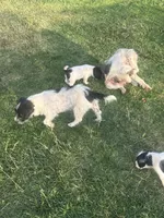 processed/c58ce303-9d1e-469e-b248-646bc34944c1/listing/244d65d4-9ec9-4825-8f3b-83b1a25ff759/1aac70eb-2c81-4f20-8fdb-1bade7eaef8e