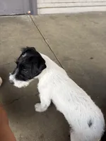 processed/c58ce303-9d1e-469e-b248-646bc34944c1/listing/244d65d4-9ec9-4825-8f3b-83b1a25ff759/729b8921-ddd1-4623-8a4b-d389941b943a