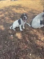 processed/c58ce303-9d1e-469e-b248-646bc34944c1/listing/244d65d4-9ec9-4825-8f3b-83b1a25ff759/76ca30c7-be9b-46da-be57-3bb9eba9c35c