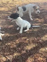 processed/c58ce303-9d1e-469e-b248-646bc34944c1/listing/244d65d4-9ec9-4825-8f3b-83b1a25ff759/8ba2f09b-f9c2-467a-a937-21dbc07bf282