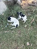 processed/c58ce303-9d1e-469e-b248-646bc34944c1/listing/244d65d4-9ec9-4825-8f3b-83b1a25ff759/dff7b2d5-ef90-4850-a03f-f80bce0f5e6b