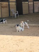 processed/c58ce303-9d1e-469e-b248-646bc34944c1/listing/72486e42-5b39-479d-b963-78aadd03ed65/0f2a5323-5985-4858-9196-a88e19d4b072