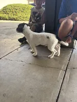 processed/c58ce303-9d1e-469e-b248-646bc34944c1/listing/ac51136b-f6e8-4111-abc4-0888651448ac/082df751-de0b-4c84-89ab-370ab6f5e704