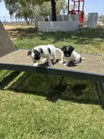 processed/c58ce303-9d1e-469e-b248-646bc34944c1/listing/ac51136b-f6e8-4111-abc4-0888651448ac/92a8b6b8-72d9-4a7e-87f2-ab455e4b3349