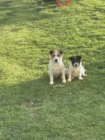 processed/c58ce303-9d1e-469e-b248-646bc34944c1/listing/ac51136b-f6e8-4111-abc4-0888651448ac/955c2054-e26f-4622-a99f-6d6ee8aa1564