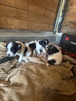 processed/c58ce303-9d1e-469e-b248-646bc34944c1/listing/ac51136b-f6e8-4111-abc4-0888651448ac/a6fe911f-96cf-4952-8c1e-8c6b3c7ae6ba