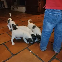 processed/c58ce303-9d1e-469e-b248-646bc34944c1/listing/d030e350-6373-4147-9a29-eca5652ac805/a5949d38-2662-464b-bdcc-ed664115c2f0