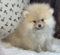 processed/c5a95790-ddaf-4501-8093-34f1881c4c44/listing/7b3a387a-3592-46a0-8a3d-f2d056e5a3bf/1ccf0bfa-5c3e-44dc-943f-19d274be7935