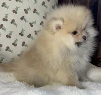 processed/c5a95790-ddaf-4501-8093-34f1881c4c44/listing/7b3a387a-3592-46a0-8a3d-f2d056e5a3bf/40416b20-0eb1-40b2-a44c-4de8b3f7678a