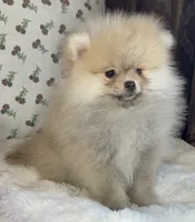 processed/c5a95790-ddaf-4501-8093-34f1881c4c44/listing/7b3a387a-3592-46a0-8a3d-f2d056e5a3bf/41eb5741-a2e7-415b-8b47-caf22e7f6765