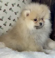 processed/c5a95790-ddaf-4501-8093-34f1881c4c44/listing/7b3a387a-3592-46a0-8a3d-f2d056e5a3bf/538dbaad-a274-4afe-a7db-9a49d6cf8d8b