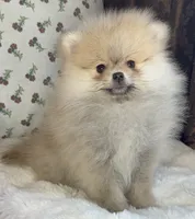 processed/c5a95790-ddaf-4501-8093-34f1881c4c44/listing/7b3a387a-3592-46a0-8a3d-f2d056e5a3bf/88b6b1c9-acc7-42f7-8806-c9aa94a133ed