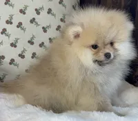 processed/c5a95790-ddaf-4501-8093-34f1881c4c44/listing/7b3a387a-3592-46a0-8a3d-f2d056e5a3bf/8d6133df-9e5b-4e83-8795-a6481fee6edc