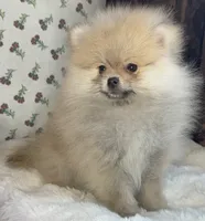 processed/c5a95790-ddaf-4501-8093-34f1881c4c44/listing/7b3a387a-3592-46a0-8a3d-f2d056e5a3bf/e91fc1f7-7457-482d-b172-ac64b8240da3