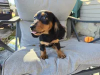 processed/c5c7f48d-20cc-43d5-a7b5-cea4f7bad5b9/listing/bb2fd561-e554-44c7-aa0f-5001470355e8/1c0c028d-c4ee-4313-85ba-195c29ef4fe6